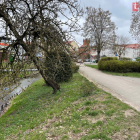 Fotka nr 2 z 11
