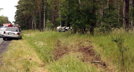 Fotka nr 3 z 12
