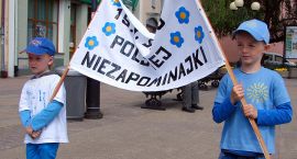 Fotka nr 3 z 26