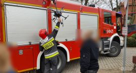 Fotka nr 1 z 2
