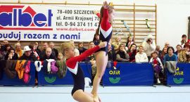 Fotka nr 2 z 13