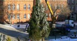 zdjęcie nr 50