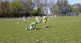 zdjęcie nr 7
