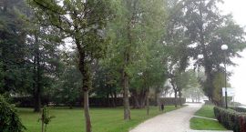 zdjęcie nr 7