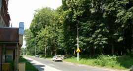 Fotka nr 2 z 6