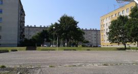 Fotka nr 2 z 7