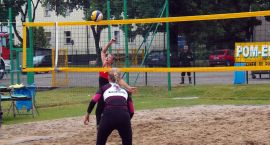 zdjęcie nr 11