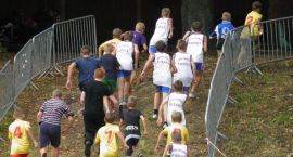 zdjęcie nr 12