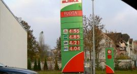 zdjęcie nr 8