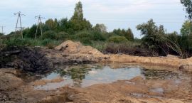 zdjęcie nr 14