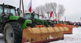 Fotka nr 5 z 21