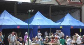 zdjęcie nr 12