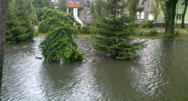 zdjęcie nr 8