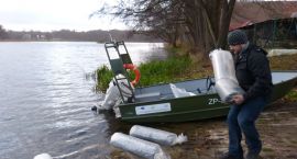 Fotka nr 1 z 8