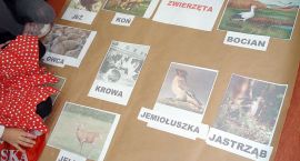 zdjęcie nr 49