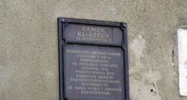 zdjęcie nr 12