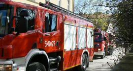 zdjęcie nr 11