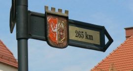zdjęcie nr 8