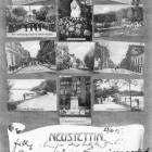 zdjęcie nr 7