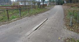 Fotka nr 3 z 13