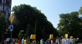 zdjęcie nr 29