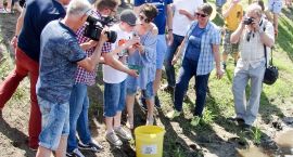 zdjęcie nr 14