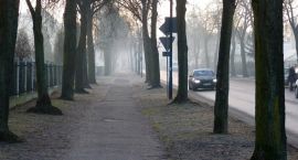 zdjęcie nr 7