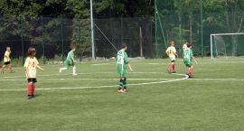 Fotka nr 1 z 15