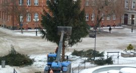 zdjęcie nr 7
