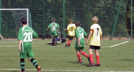 zdjęcie nr 7