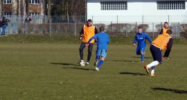 zdjęcie nr 12