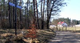zdjęcie nr 8