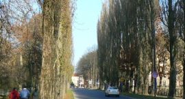zdjęcie nr 8