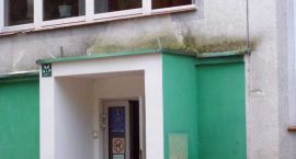 zdjęcie nr 9