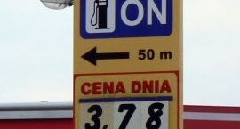 zdjęcie nr 8