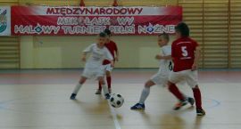 zdjęcie nr 11