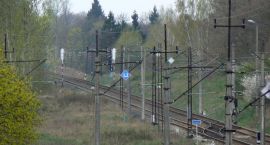 zdjęcie nr 8