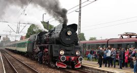 Fotka nr 2 z 6