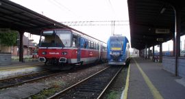 zdjęcie nr 12