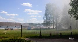 zdjęcie nr 7