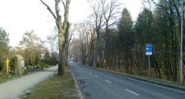zdjęcie nr 8