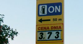 Fotka nr 4 z 9