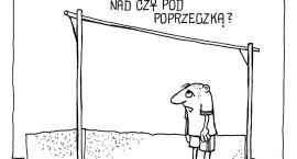 Fotka nr 1 z 16