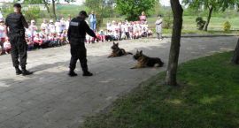 zdjęcie nr 21