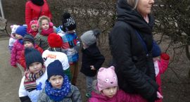 zdjęcie nr 17