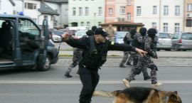zdjęcie nr 26
