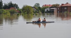 zdjęcie nr 17