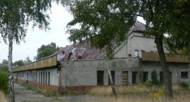 Fotka nr 4 z 12