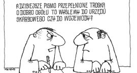zdjęcie nr 13