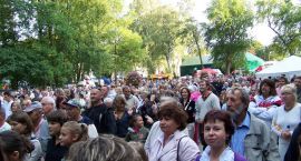 zdjęcie nr 8